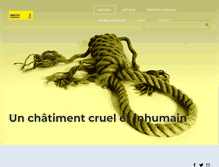 Tablet Screenshot of amnistiepdm.org